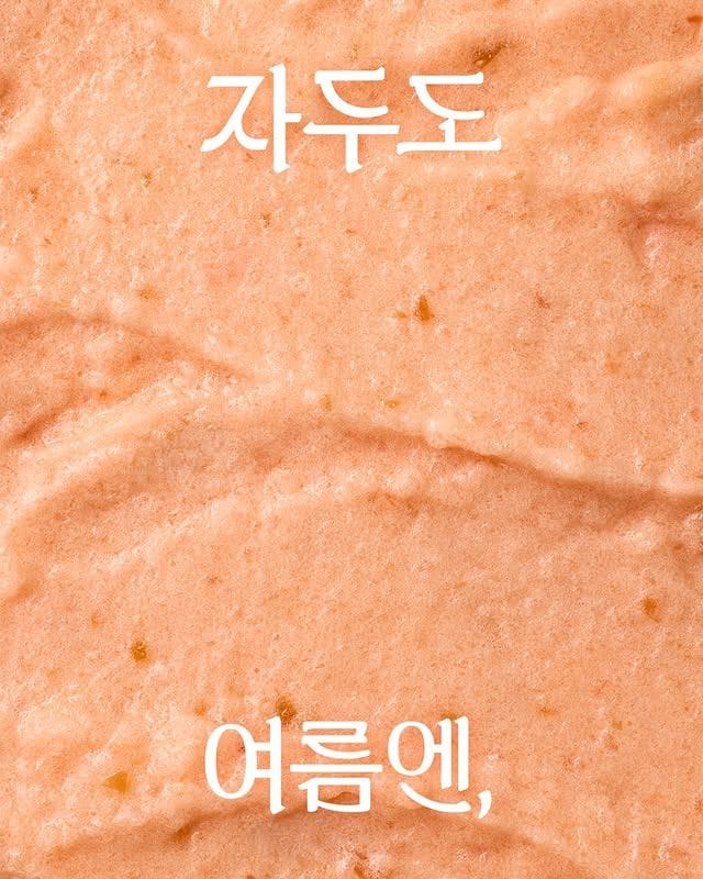여름엔 얼려야 제맛🍉🍑 뚜레쥬르 수박·자두 스무디 출시 이미지 5