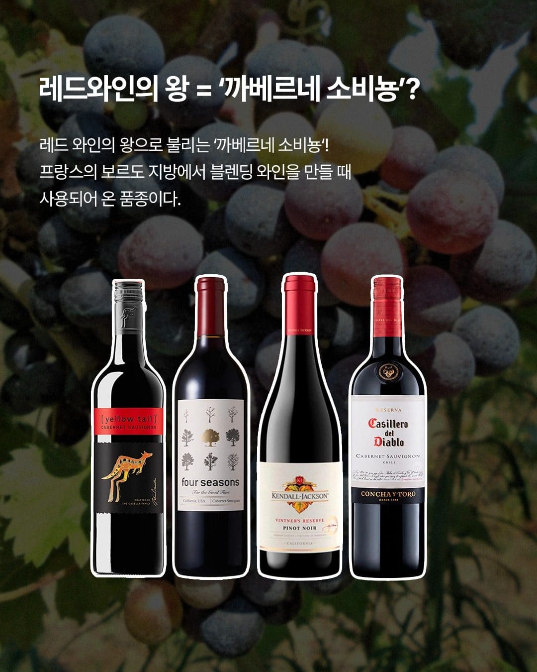 GS25 와인25플러스가 알려주는 와인 품종 이야기! 까베르네 소비뇽 vs 메를로🍷 이미지 2