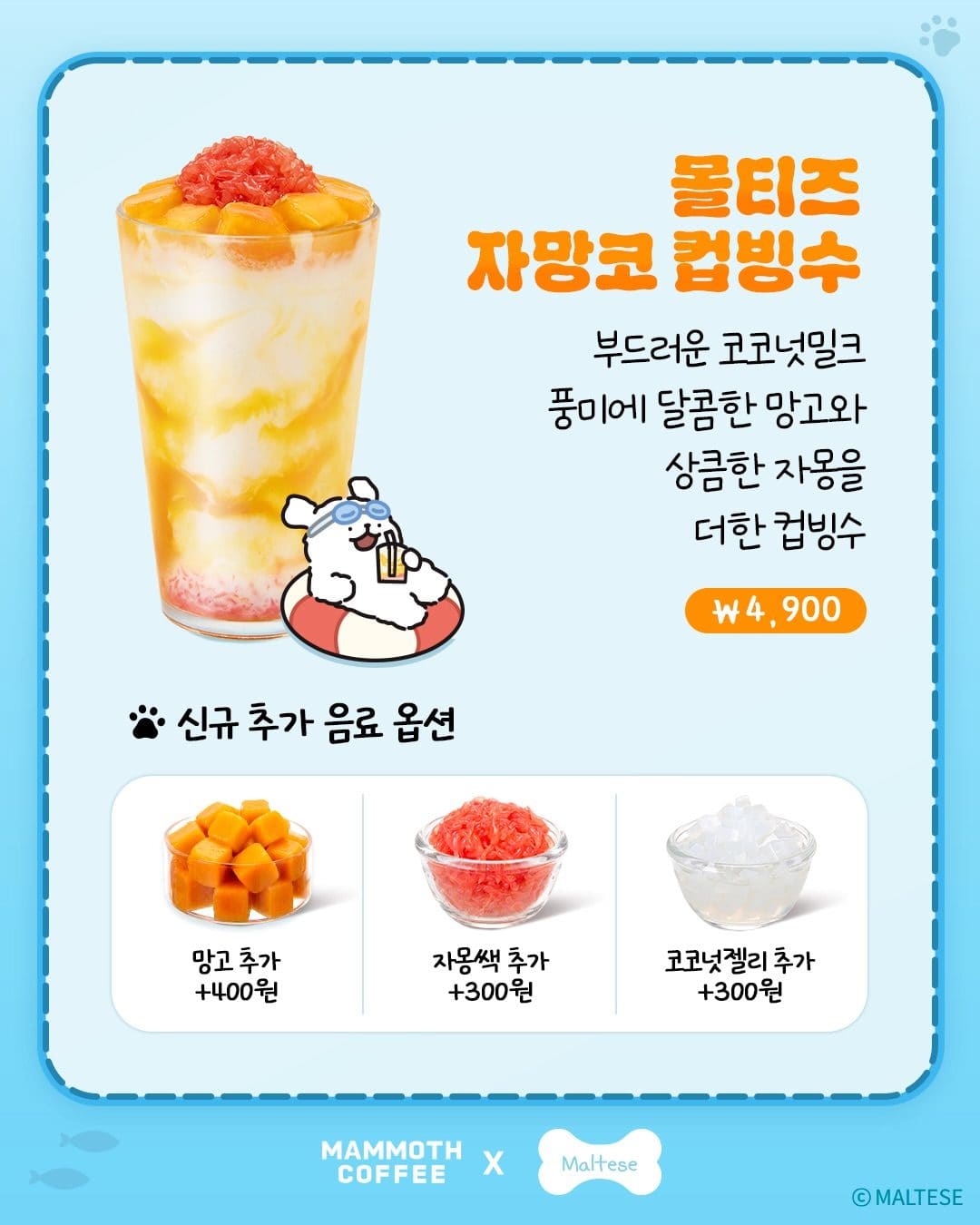 매머드커피 × 몰리스&리트리버 여름 콜라보 신메뉴 출시! 🐶🐾 이미지 2