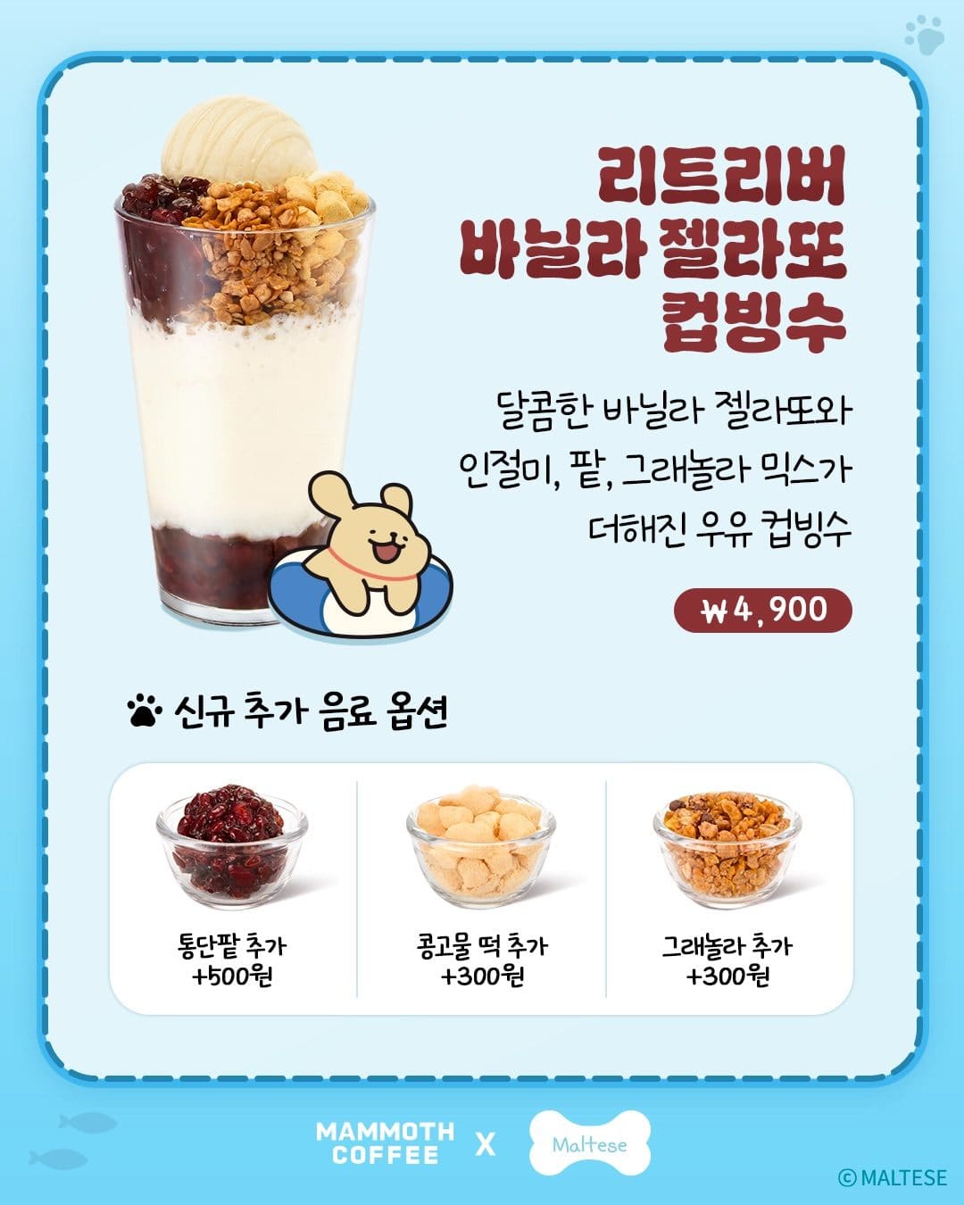 매머드커피 × 몰리스&리트리버 여름 콜라보 신메뉴 출시! 🐶🐾 이미지 4