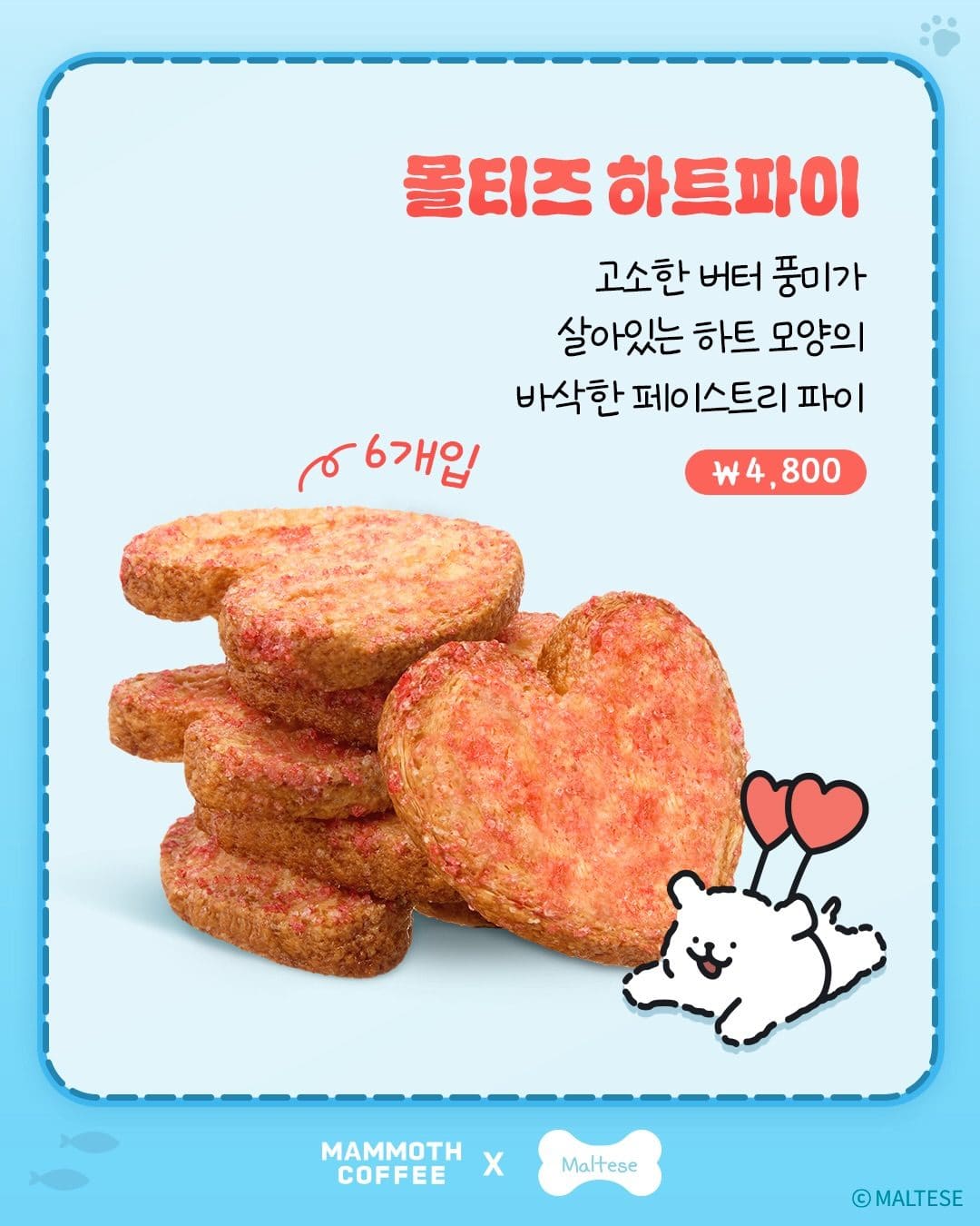 매머드커피 × 몰리스&리트리버 여름 콜라보 신메뉴 출시! 🐶🐾 이미지 5