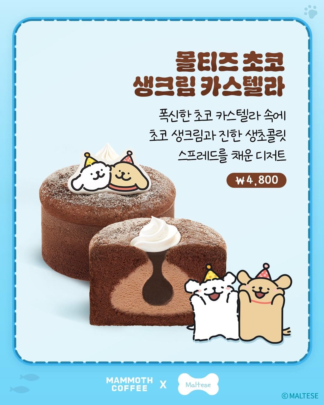 매머드커피 × 몰리스&리트리버 여름 콜라보 신메뉴 출시! 🐶🐾 이미지 6