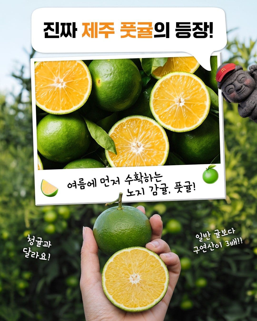 맥도날드 제주 풋귤 맥피즈 출시! 이미지 3