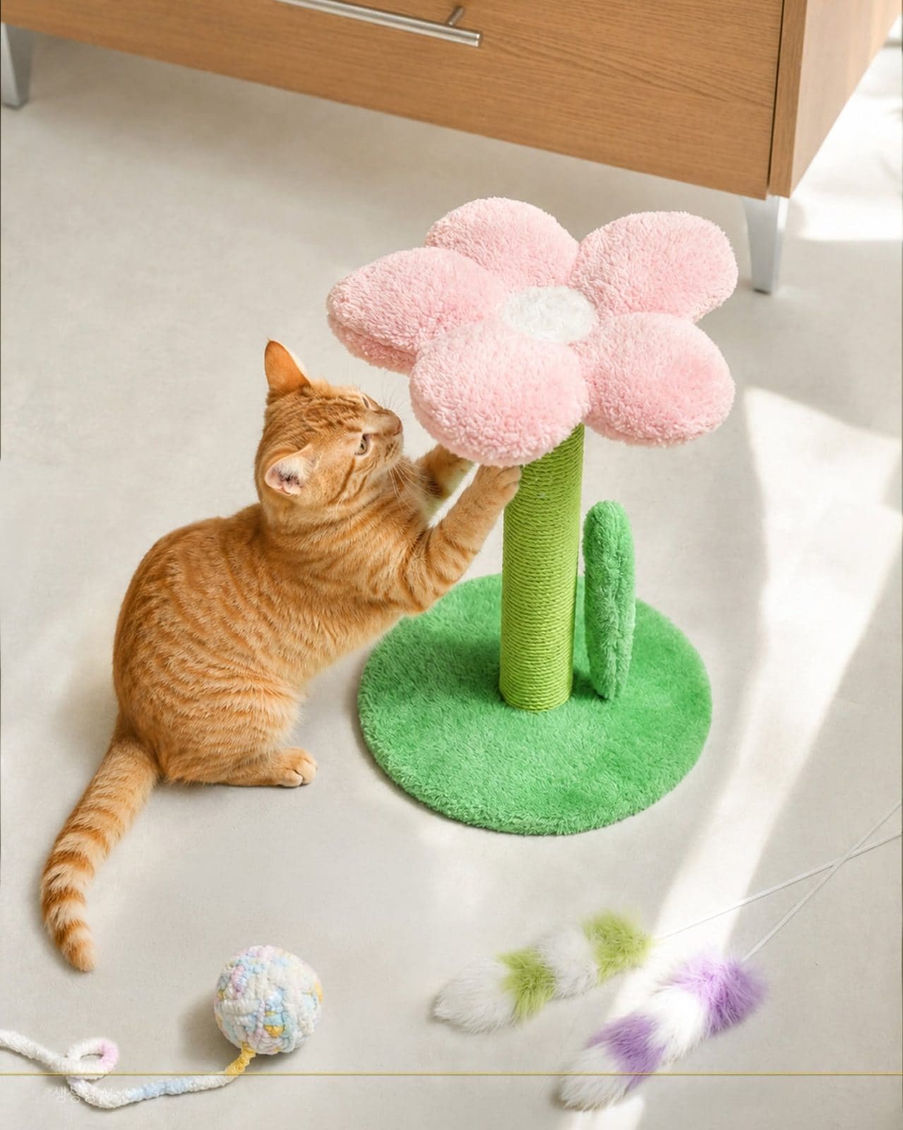 다이소 8월 신상🐱 고양이 집사 취향저격! 귀여운 스크래쳐 4종 이미지 1