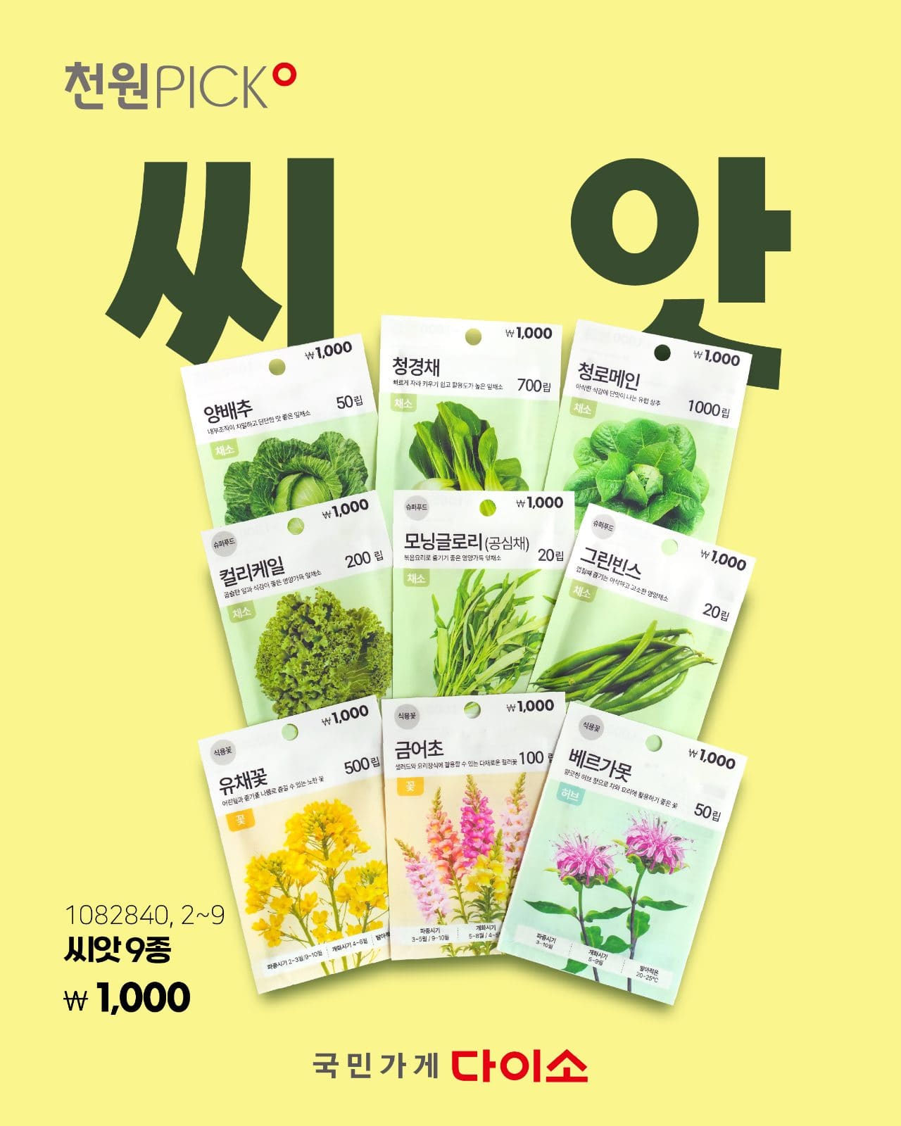다이소 천원 PICK🌱 씨앗 심고 직접 수확하는 재미까지! 이미지 1