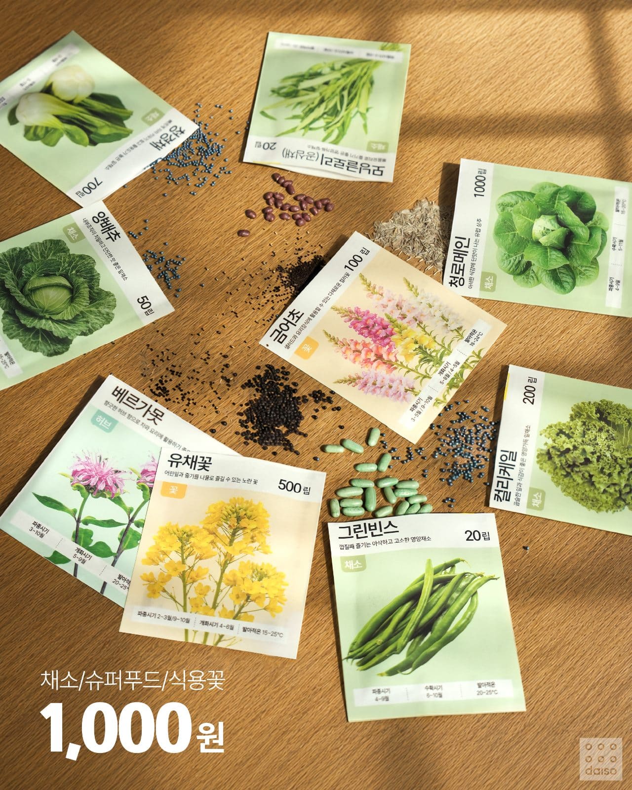 다이소 천원 PICK🌱 씨앗 심고 직접 수확하는 재미까지! 이미지 2